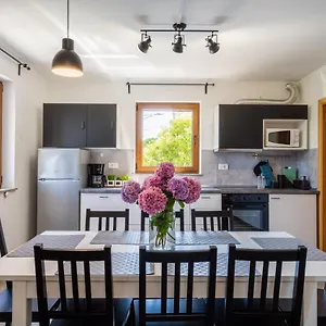 https://downtown-apartment-helena-a52.in-istria.net